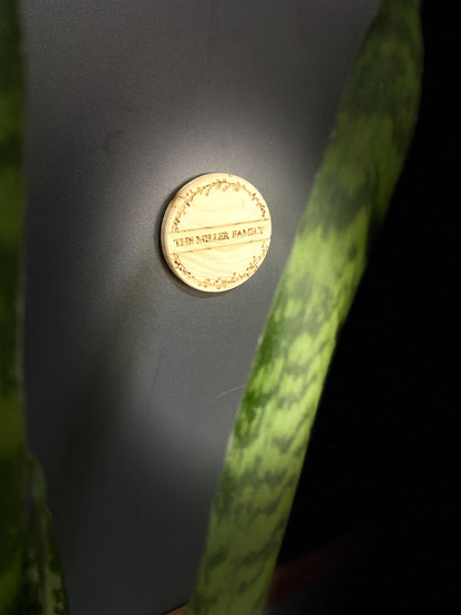 Rustic Midcentury Wedding Favors - Custom Walnut, Beech, Ash Wood Coasters & Magnets, 4" Solid Wood